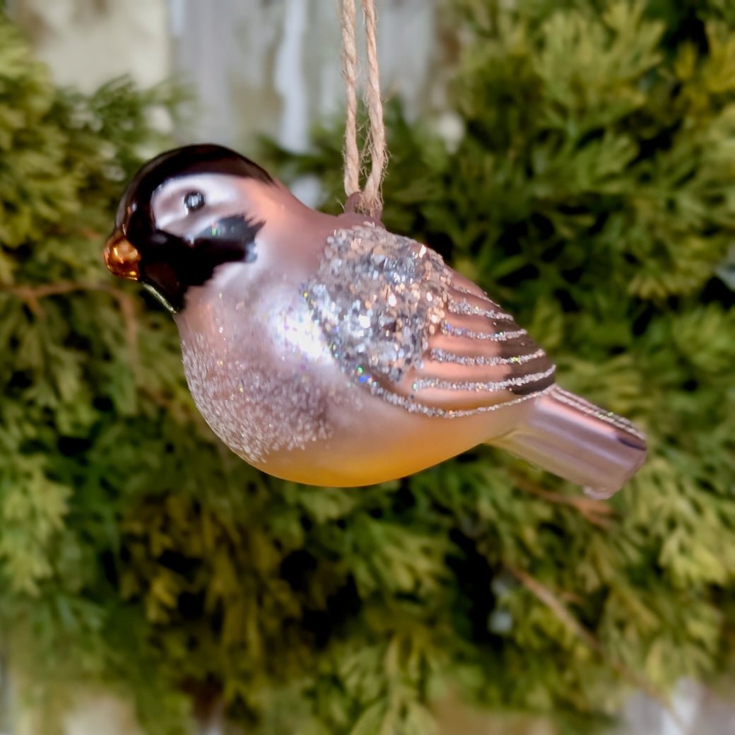 Boxed Set of Six Colorful Glass Bird Christmas Ornaments - Marmalade Mercantile