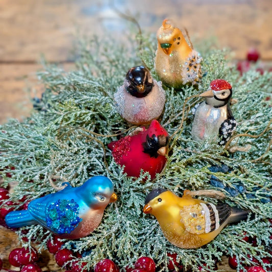 Boxed Set of Six Colorful Glass Bird Christmas Ornaments - Marmalade Mercantile