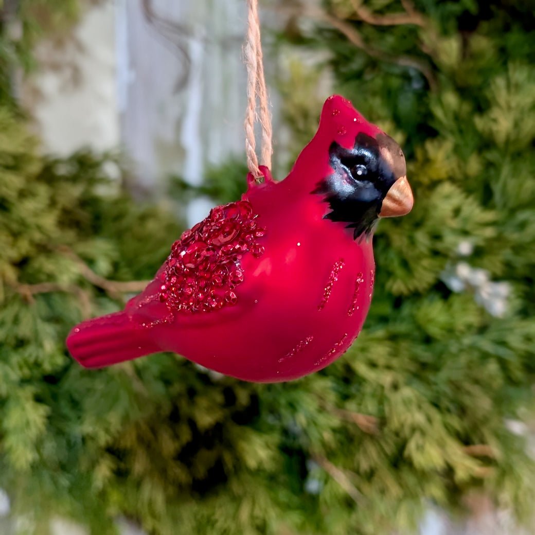 Boxed Set of Six Colorful Glass Bird Christmas Ornaments - Marmalade Mercantile