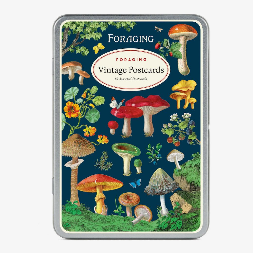 Boxed Set of Twelve Foraging Postcards - Marmalade Mercantile