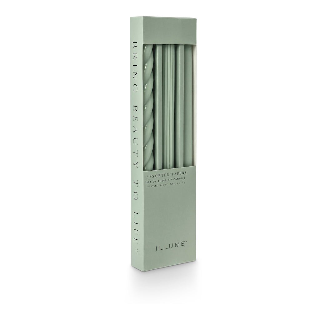 Boxed Set Three Assorted Taper Candles Sage Green - Marmalade Mercantile