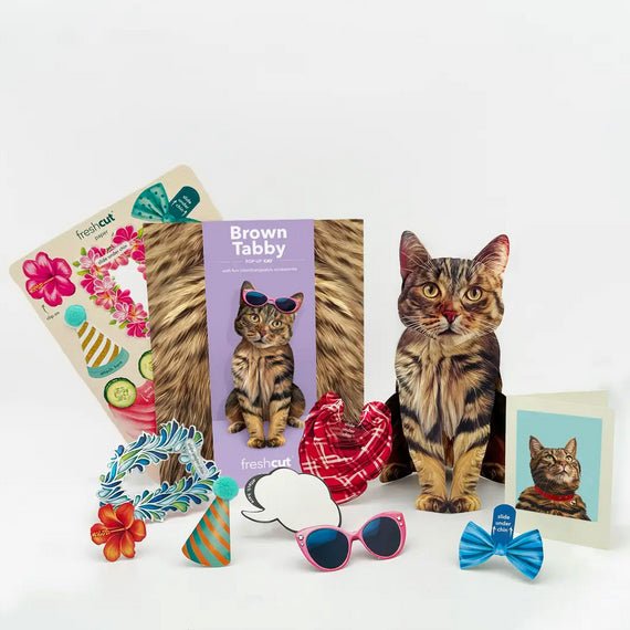 Brown Tabby Cat Pop Up Greeting Card with Accessories - Marmalade Mercantile