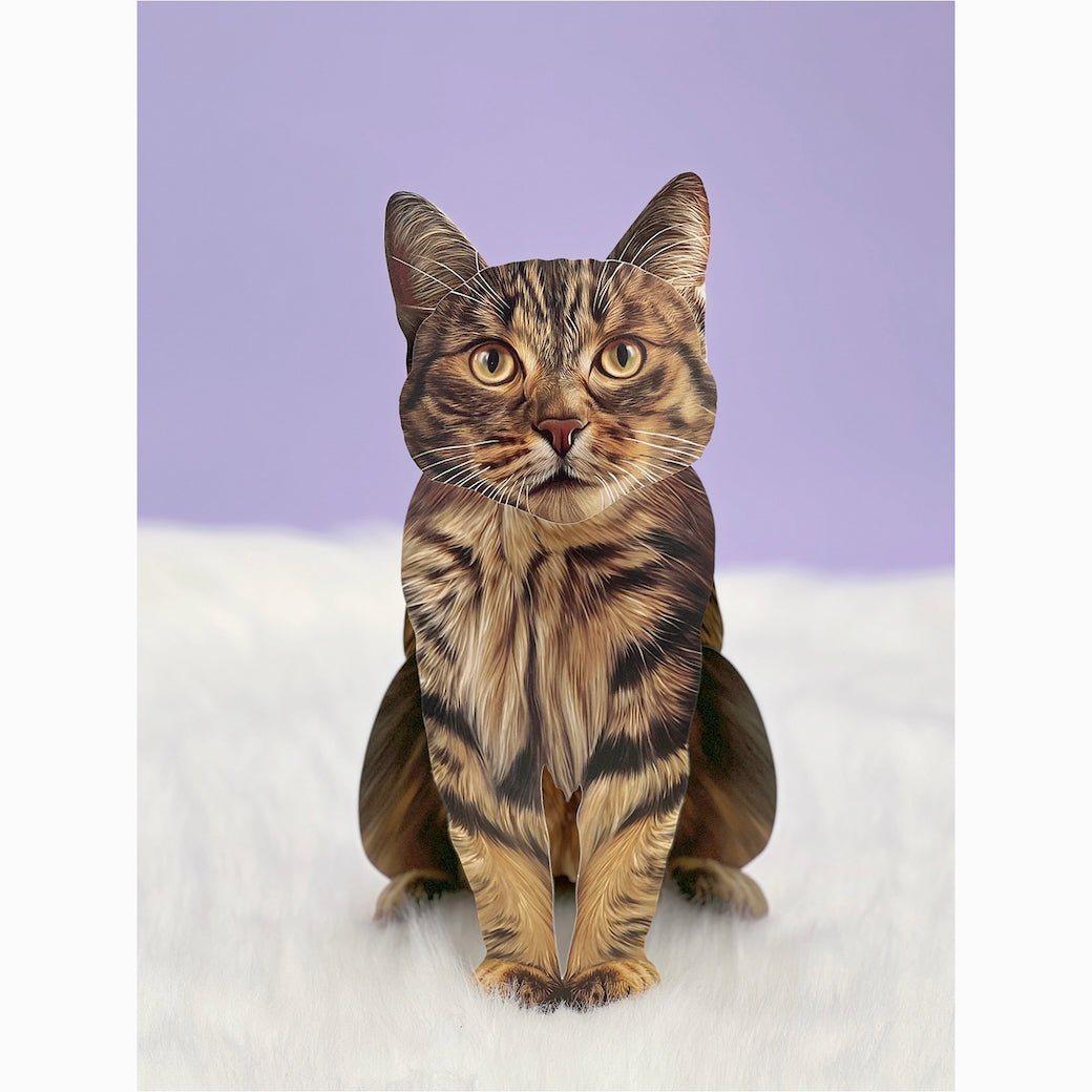 Brown Tabby Cat Pop Up Greeting Card with Accessories - Marmalade Mercantile