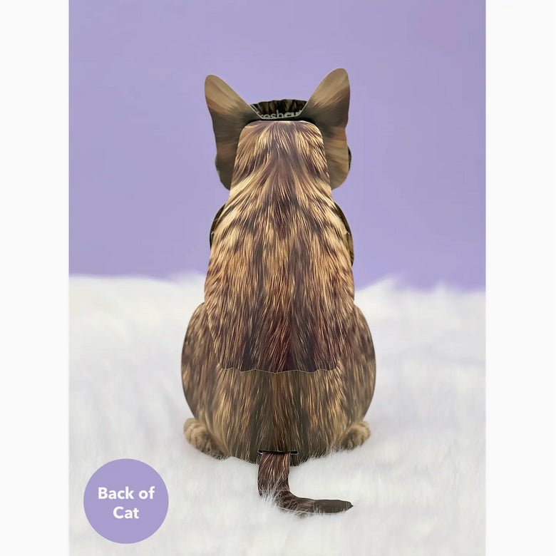 Brown Tabby Cat Pop Up Greeting Card with Accessories - Marmalade Mercantile