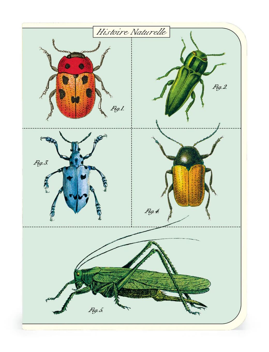 Bugs & Insects Mini Pocket Notebooks Set of 3 - Marmalade Mercantile