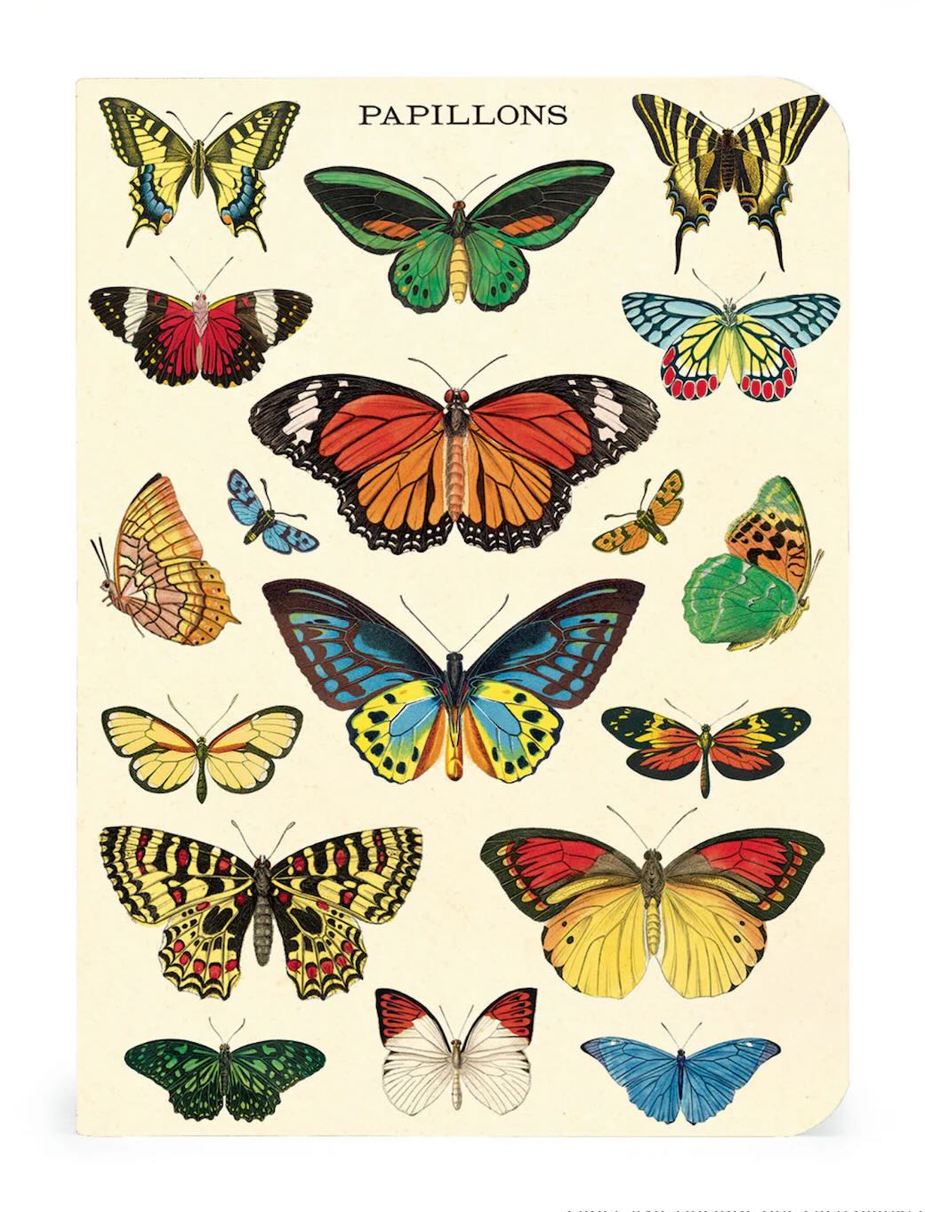 Butterflies Mini Pocket Notebooks Set of 3 - Marmalade Mercantile