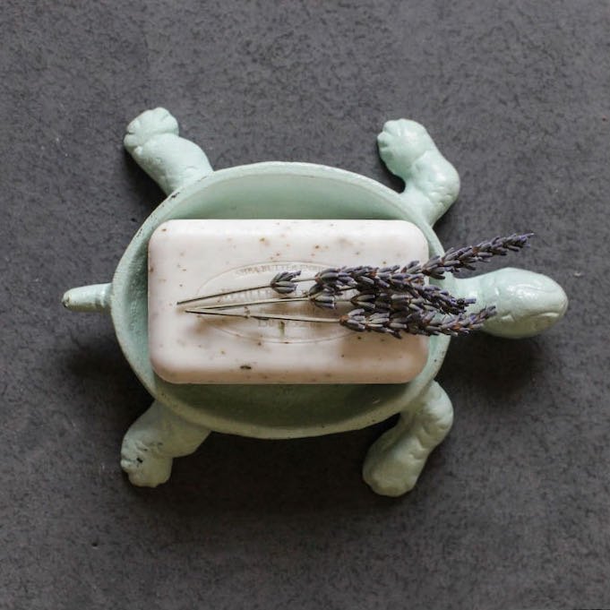 Cast Iron Turtle Soap Dish Aqua with Distressed Finish - Marmalade Mercantile