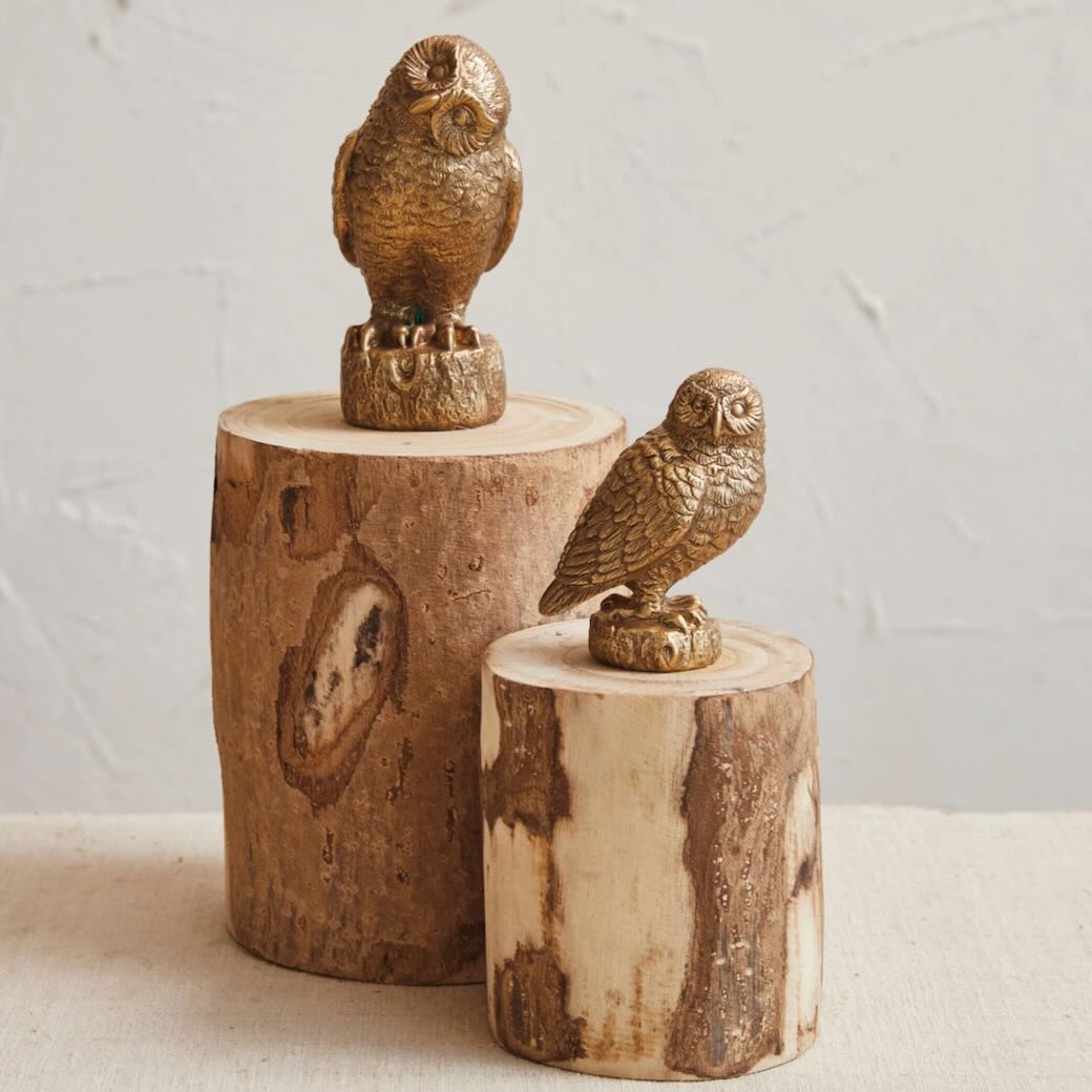 Cast Resin Owl Figure CHOICE of Size - Marmalade Mercantile