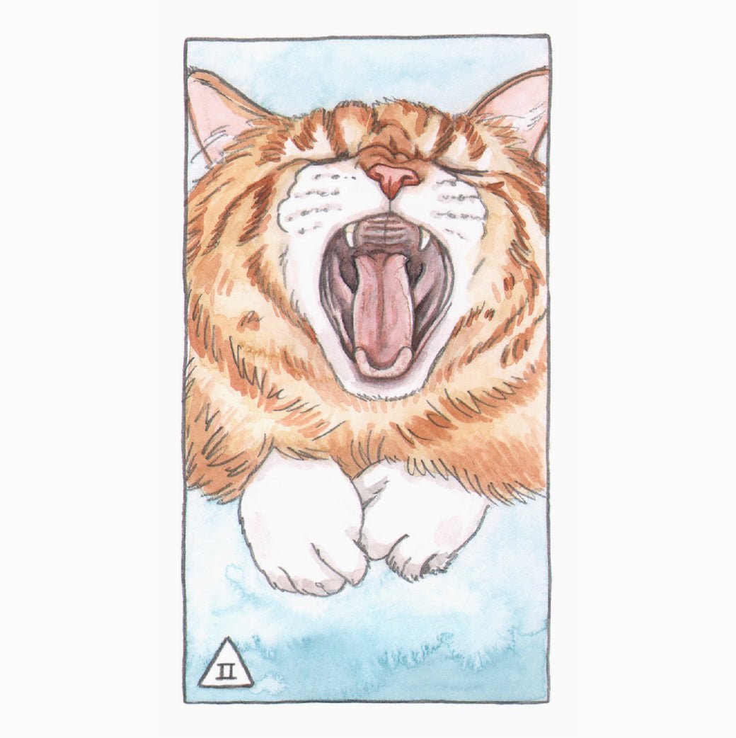 Cat Tarot Cards - 78 Card Deck Illustrated by Megan Kott - Marmalade Mercantile