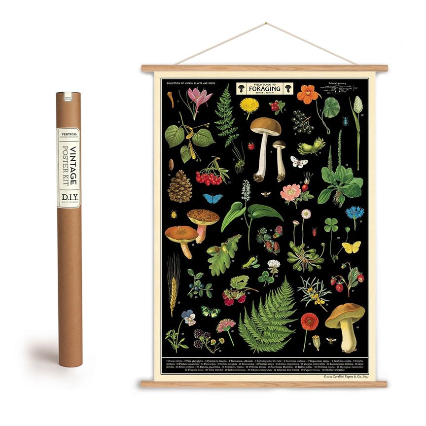 Field Guide to Foraging Art Poster + Hanging Kit
