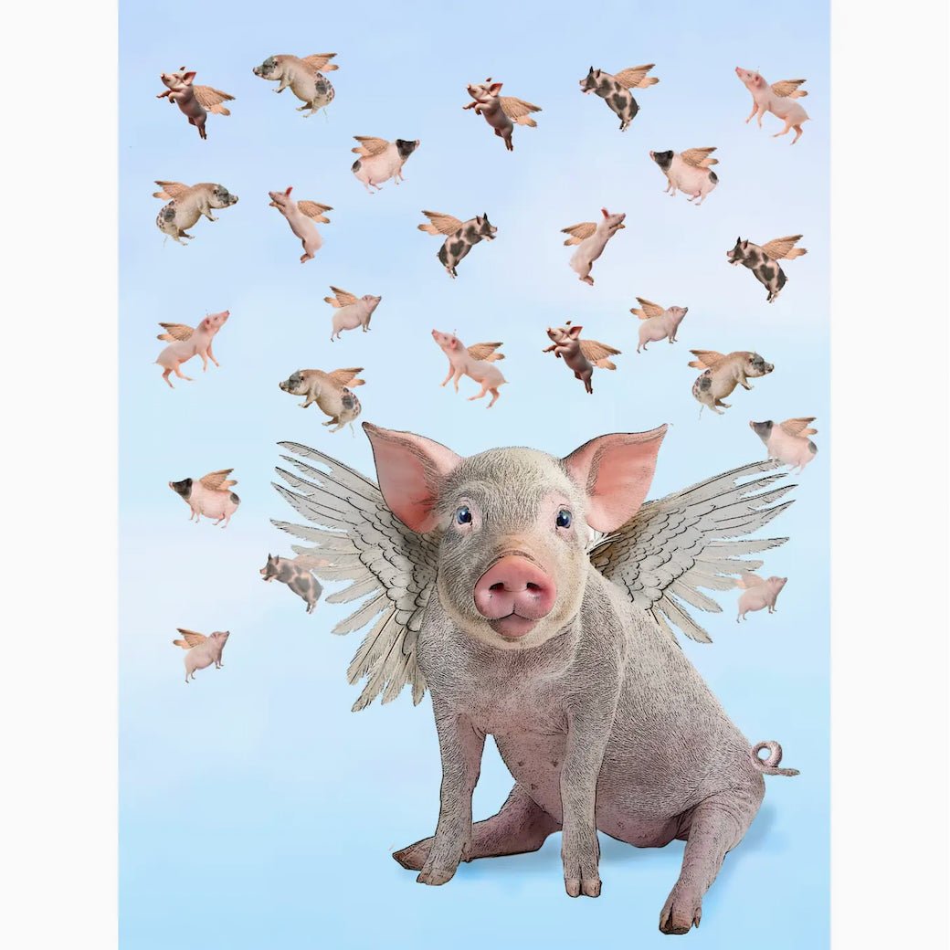Flying Pigs Flour Sack Kitchen Towel - Marmalade Mercantile