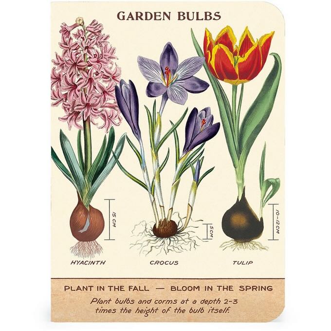 Gardening Mini Pocket Notebooks Set of 3 - Marmalade Mercantile