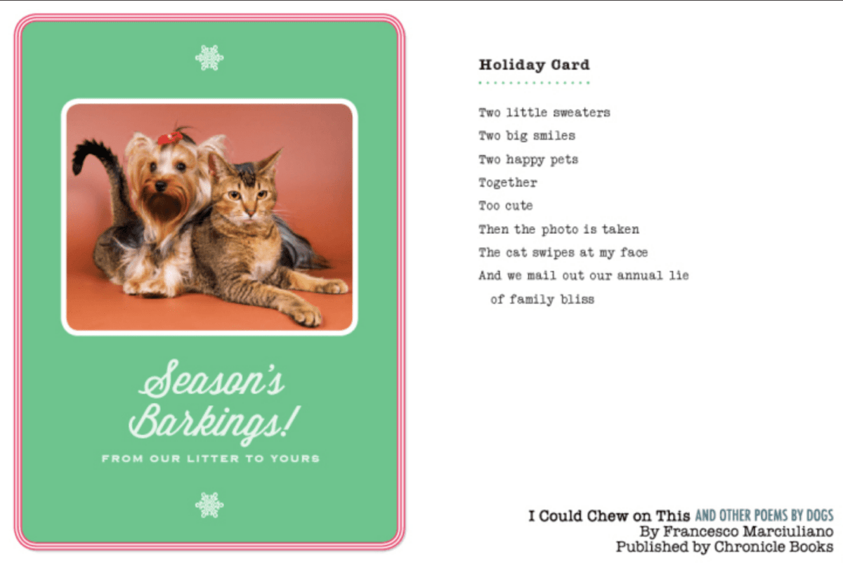 I Could Chew on This and Other Poems by Dogs by Francesco Marcuiliano - Marmalade Mercantile