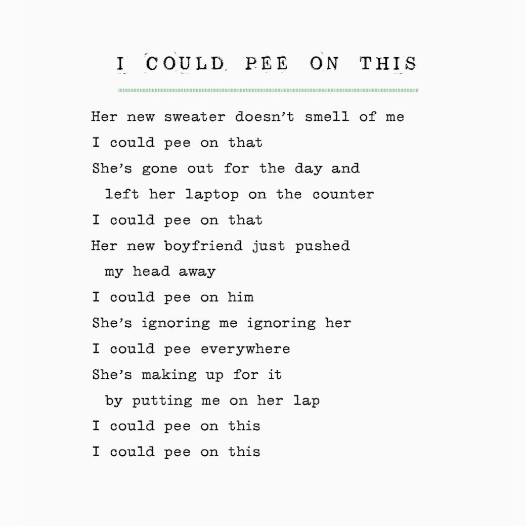 I Could Pee on This and other Poems by Cats by Francesco Marcuiliano - Marmalade Mercantile