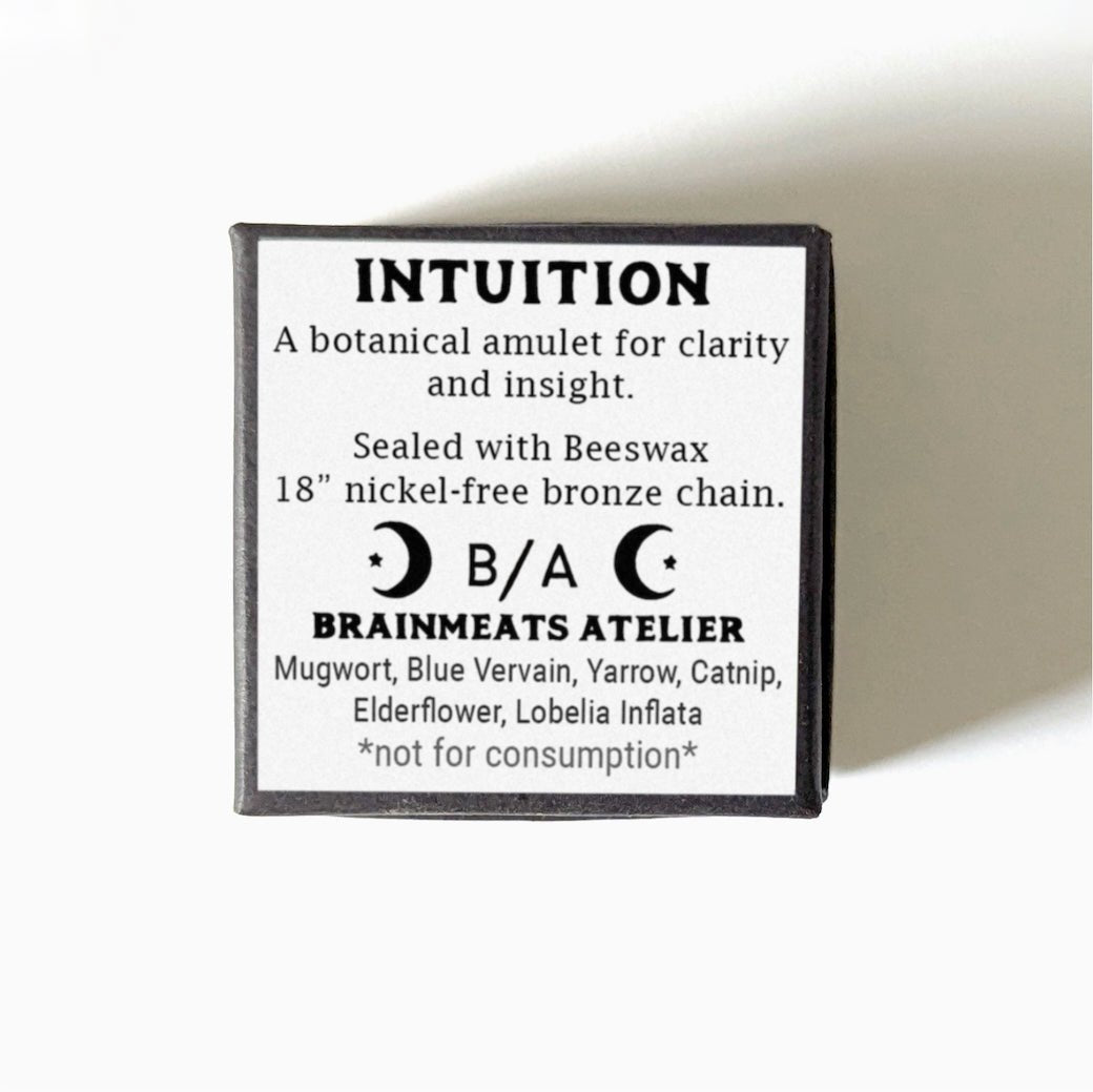 Intuition Amulet - Insight & Clarity Talisman Necklace w Owl - Marmalade Mercantile