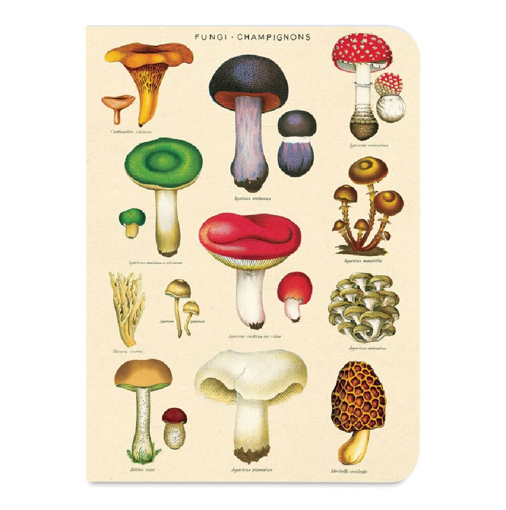 Le Jardin Mini Pocket Notebooks Set of 3 - Marmalade Mercantile