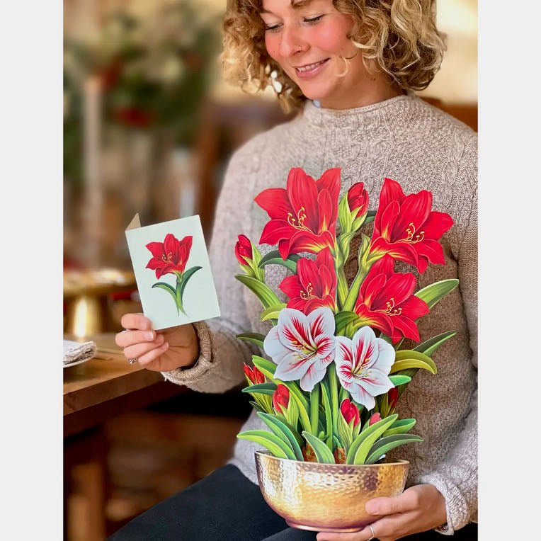 Life - sized Pop - up Bouquet Greeting Card Scarlet Amaryllis - Marmalade Mercantile