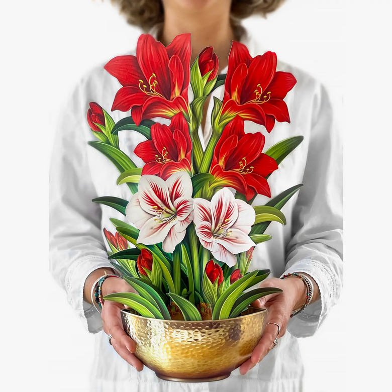 Life - sized Pop - up Bouquet Greeting Card Scarlet Amaryllis - Marmalade Mercantile