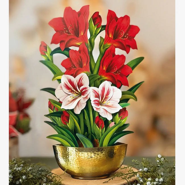 Life - sized Pop - up Bouquet Greeting Card Scarlet Amaryllis - Marmalade Mercantile