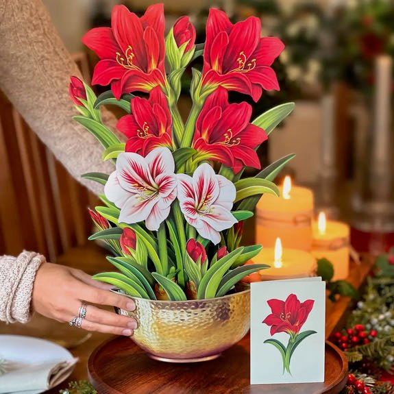 Life - sized Pop - up Bouquet Greeting Card Scarlet Amaryllis - Marmalade Mercantile