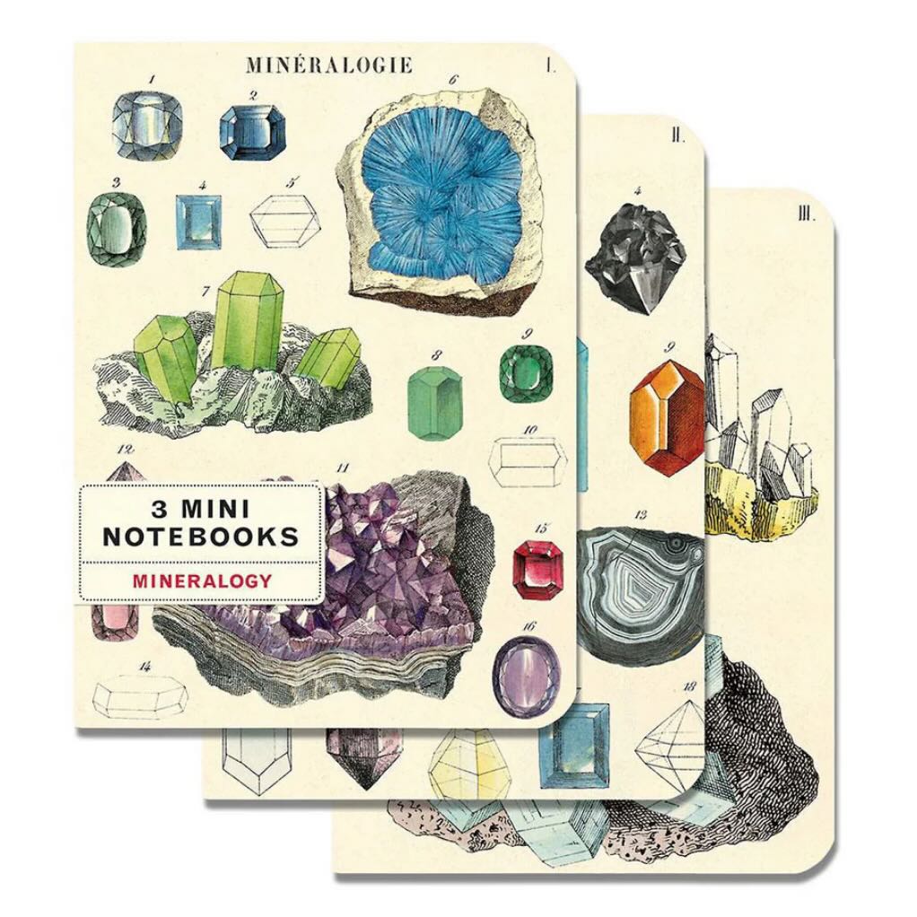 Mineralogy Mini Pocket Notebooks Set of 3 - Marmalade Mercantile