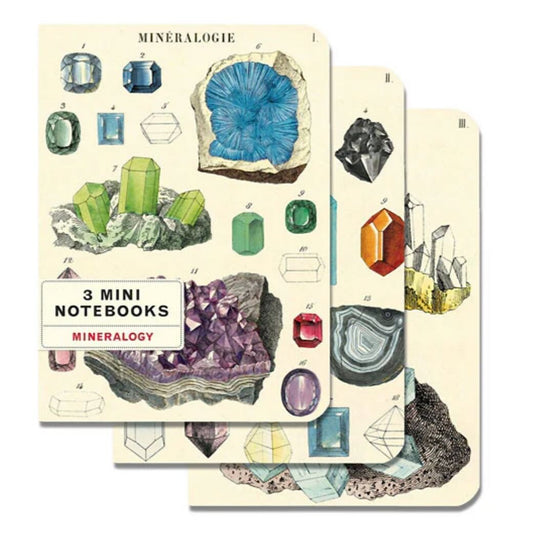 Mineralogy Mini Pocket Notebooks Set of 3 - Marmalade Mercantile