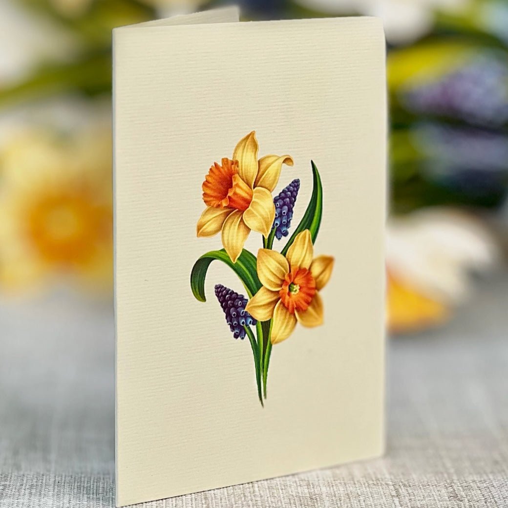 Mini English Daffodils Pop Up Greeting Card - Marmalade Mercantile