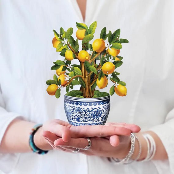 Mini Lemon Blossom Tree Pop Up Greeting Card - Marmalade Mercantile