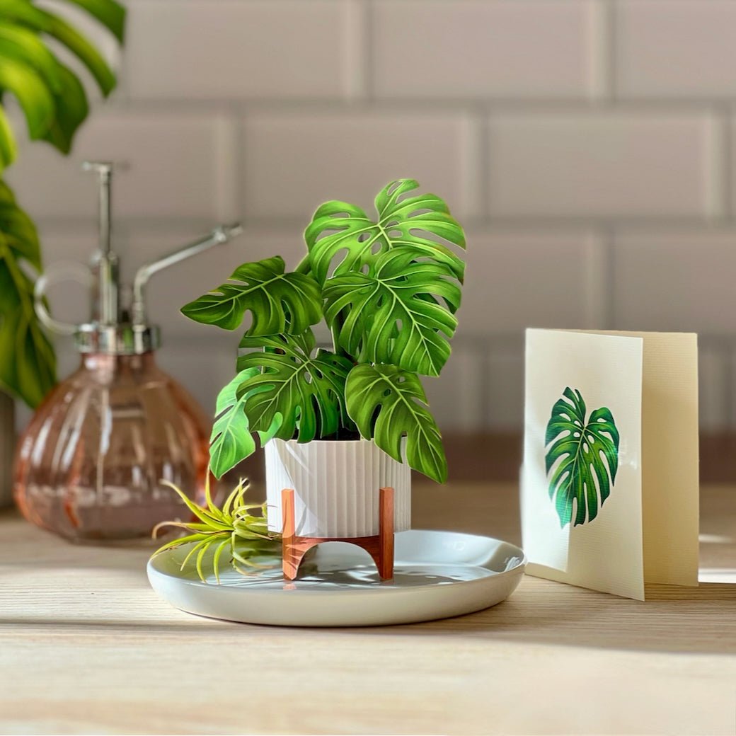 Mini Monstera Plant Pop Up Greeting Card - Marmalade Mercantile