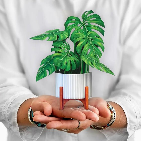 mini monstera plant Mini Monstera Pop-Up Card