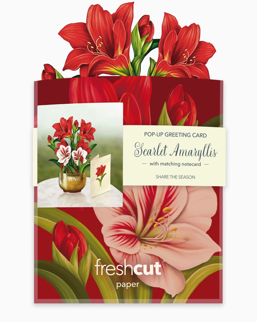 Mini Scarlet Amaryllis Holiday Pop - Up Card - Marmalade Mercantile