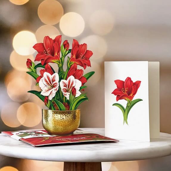 Mini Scarlet Amaryllis Holiday Pop - Up Card - Marmalade Mercantile