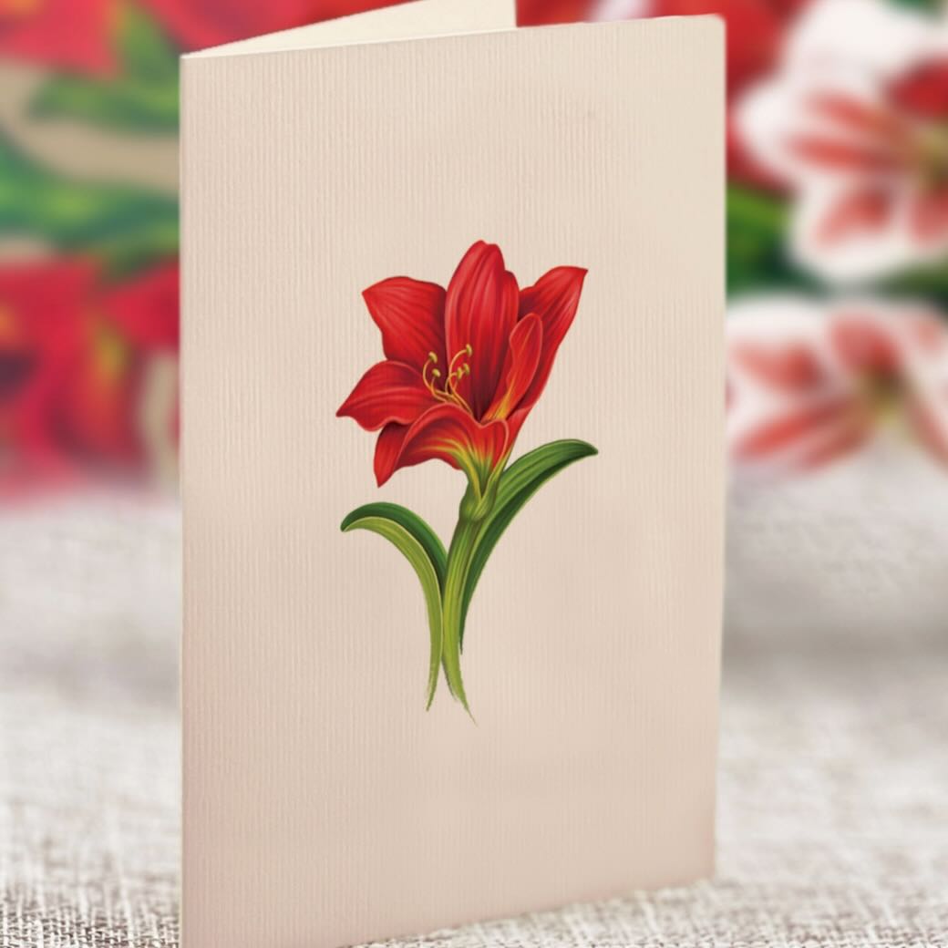 Mini Scarlet Amaryllis Holiday Pop - Up Card - Marmalade Mercantile