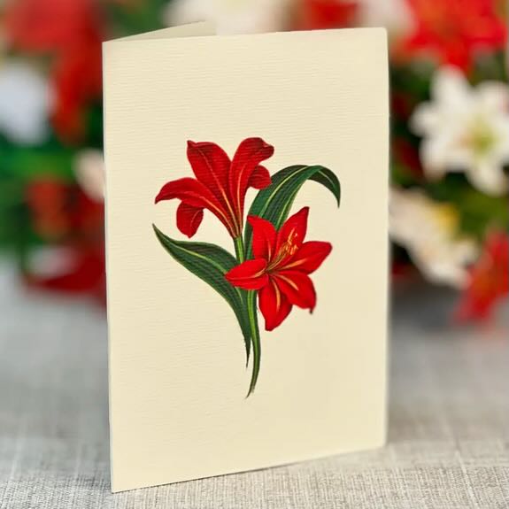 Mini Winter Joy Red & White Amaryllis Pop - Up Card - Marmalade Mercantile