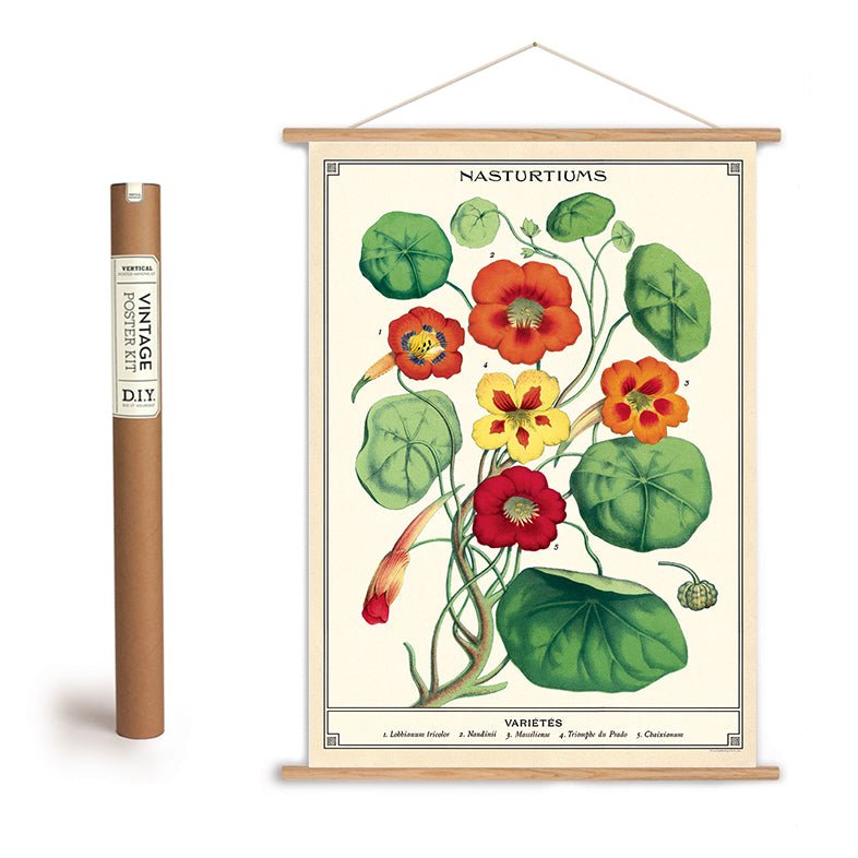 Nasturtiums Art Poster + Hanging Kit - Marmalade Mercantile