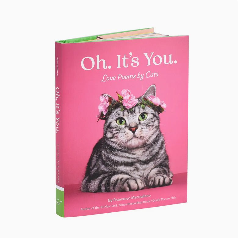 Oh It’s You - Love Poems From Your Cat - Marmalade Mercantile