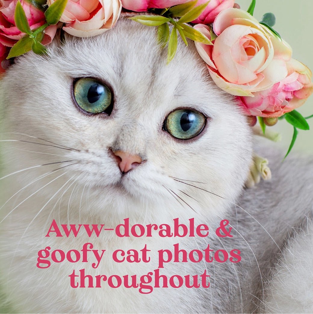 Oh It’s You - Love Poems From Your Cat - Marmalade Mercantile