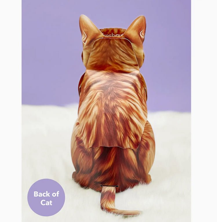 Orange Tabby Pop Up Greeting Card with Accessories - Marmalade Mercantile