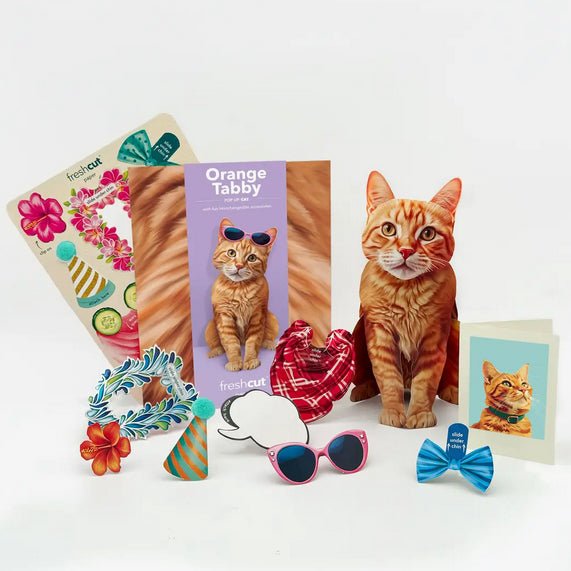 Orange Tabby Pop Up Greeting Card with Accessories - Marmalade Mercantile