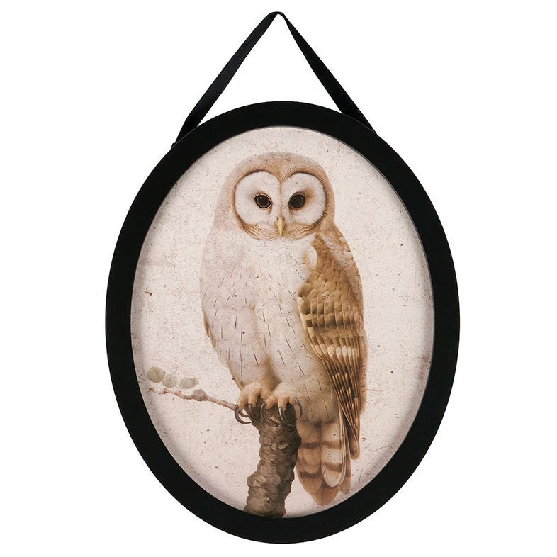 Oval Dark Academia Vintage - Style Framed White Owl Print - Marmalade Mercantile