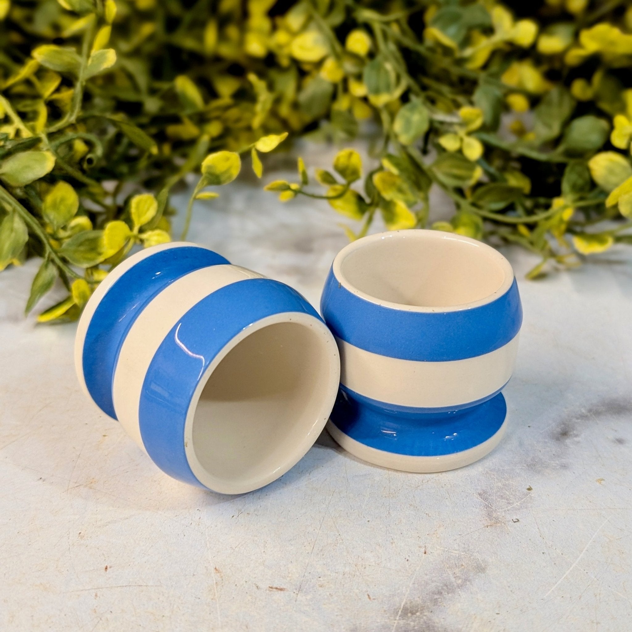 Pair of TG Green English Cornishware Egg Cups - Marmalade Mercantile
