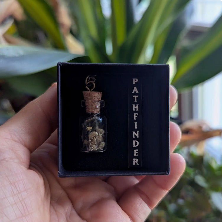 Pathfinder Amulet - Talisman Necklace for Direction in Life w Compass - Marmalade Mercantile