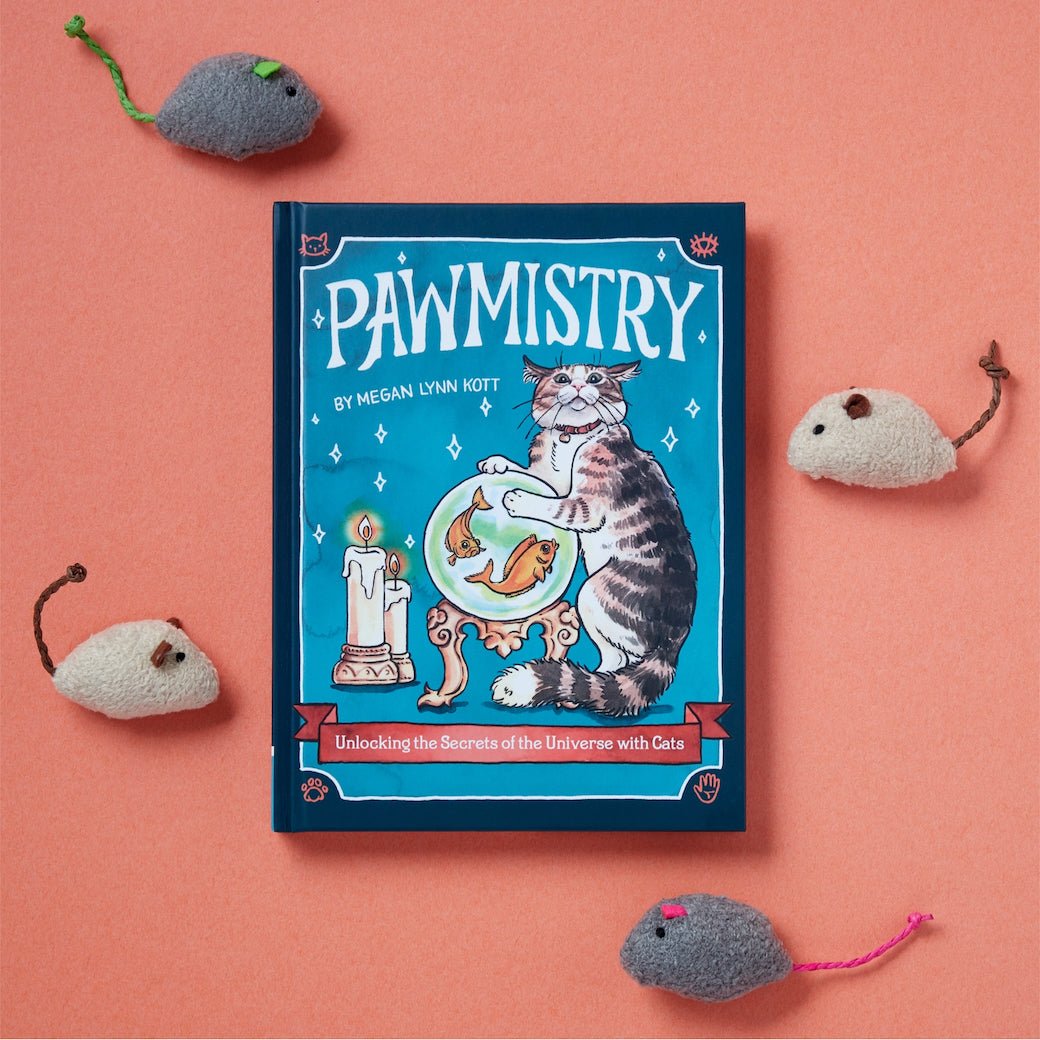 Pawmistry, Unlocking the Secrets of the Univerise with Cats by Megan Lynn Kott - Marmalade Mercantile