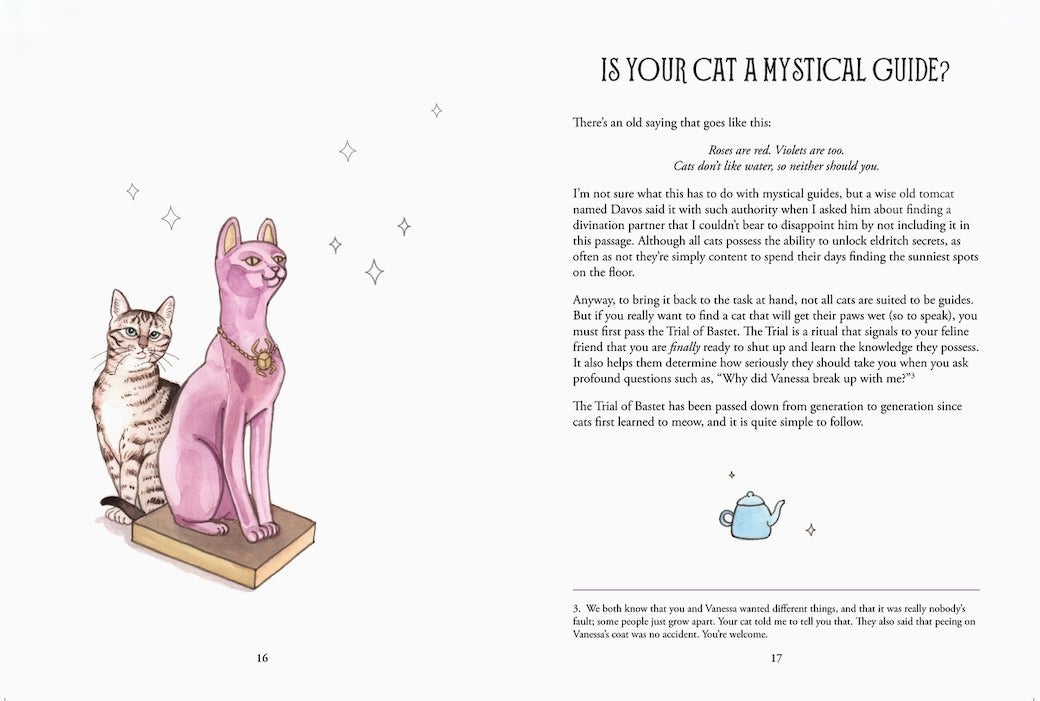 Pawmistry, Unlocking the Secrets of the Univerise with Cats by Megan Lynn Kott - Marmalade Mercantile