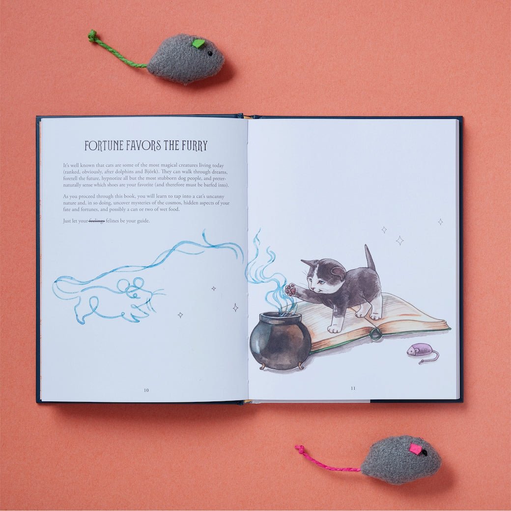 Pawmistry, Unlocking the Secrets of the Univerise with Cats by Megan Lynn Kott - Marmalade Mercantile