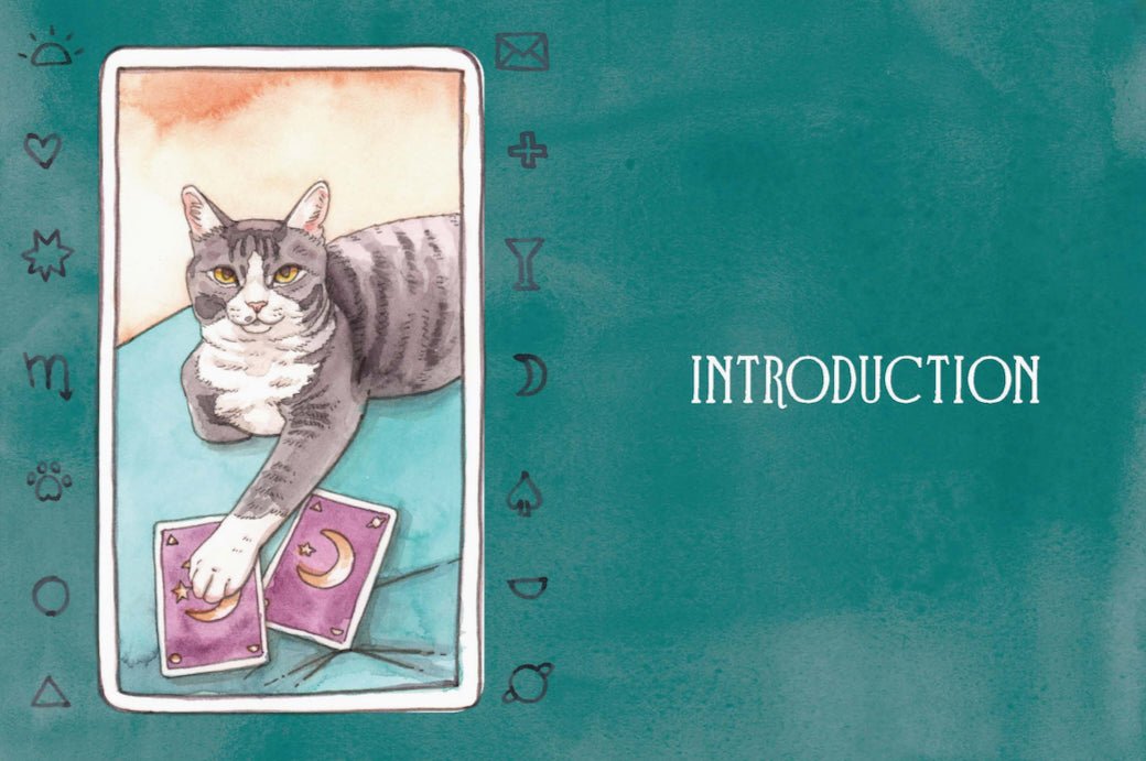 Pawmistry, Unlocking the Secrets of the Univerise with Cats by Megan Lynn Kott - Marmalade Mercantile