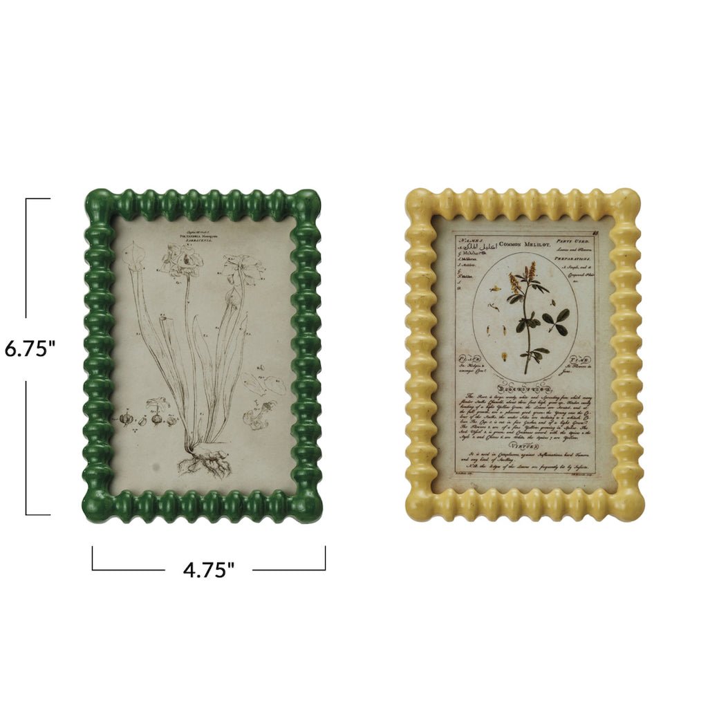 Picture Frame w Reproduction Botanical Image CHOOSE Green or Yellow - Marmalade Mercantile