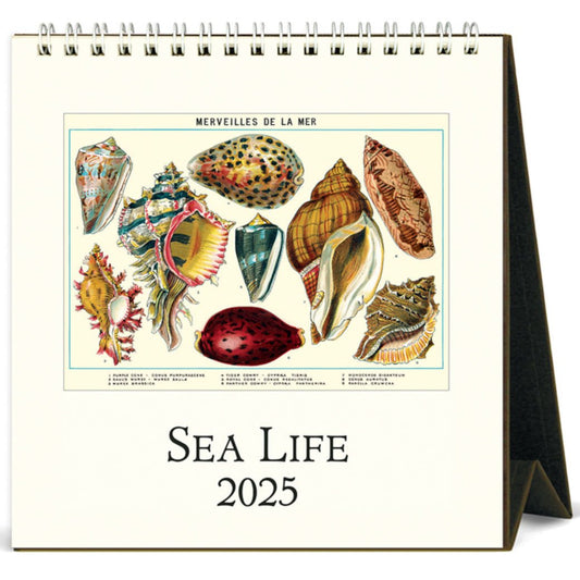Sea Life 2025 Desk Calendar - Marmalade Mercantile