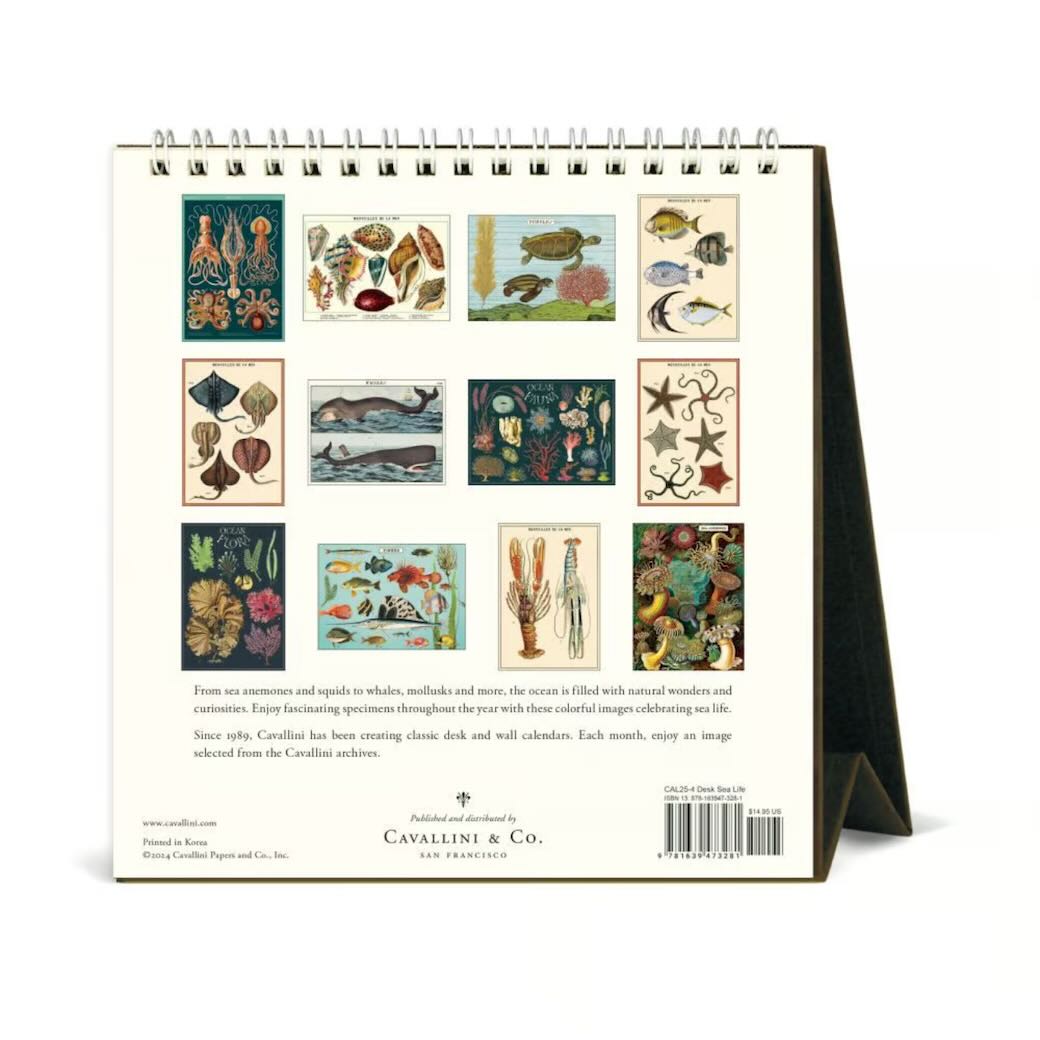 Sea Life 2025 Desk Calendar - Marmalade Mercantile