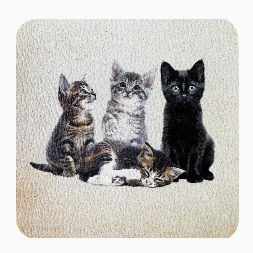 Set of Four Adorable Kittens Drink Coasters - Marmalade Mercantile